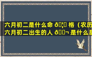 六月初二是什么命 🦈 格（农历六月初二出生的人 🐬 是什么星座）